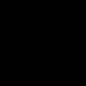 Meet your Posher, Jaz